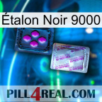 Étalon Noir 9000 37